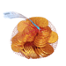 22 Large Gold Coins Net Bag 100g