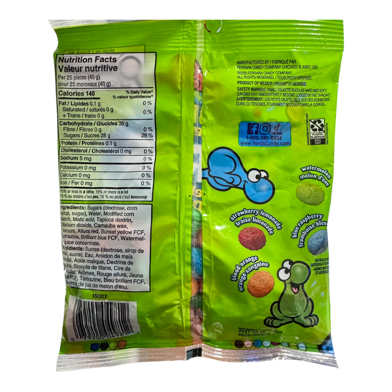 Nerds BIG CHEWY SOUR (USA) Share Bag 170g