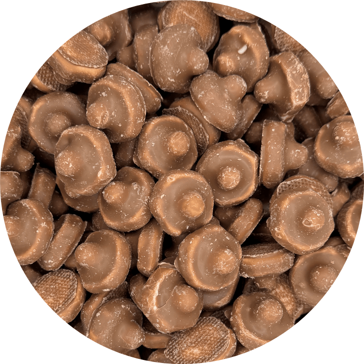 Chocolate Dipped Mallow Foam Mushrooms - Happy Candy UK LTD