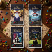 Harry Potter Hogworts 10 Flavour Jelly Belly Bags 4x28g